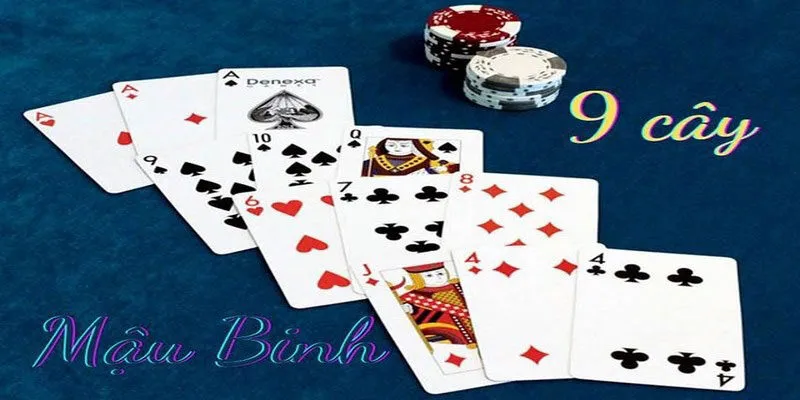 Paullepelley.gg Review Game Bài Binh 9 Lá Hấp Dẫn Nhất